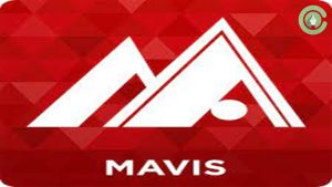 MAVIS مناسب ضبط ویدیو با تلفن همراه